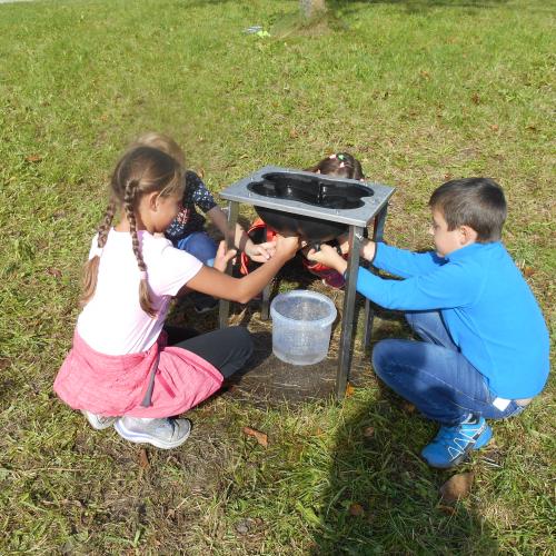 Die Kinder der 3b auf der Wiese
