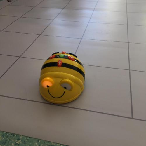 Bee-Bot