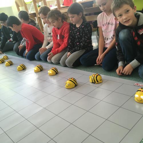 Die Kinder programmieren die Bee-Bots.