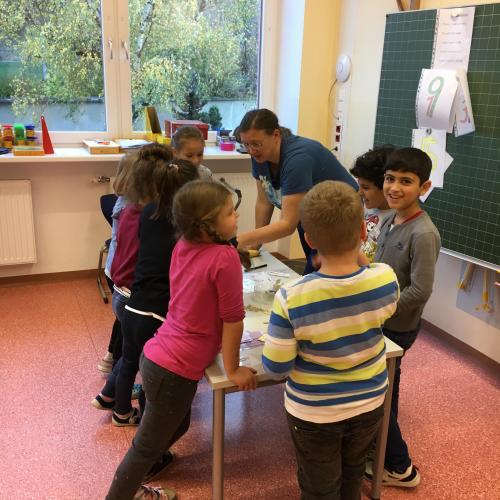 Verschiedene Getreidesorten