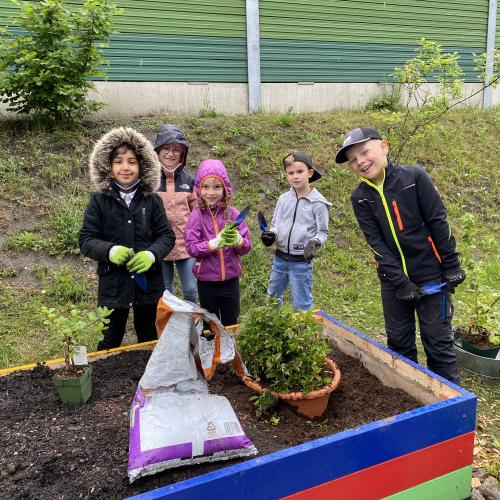 Gartenprojekt1