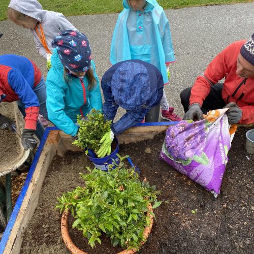 Gartenprojekt2