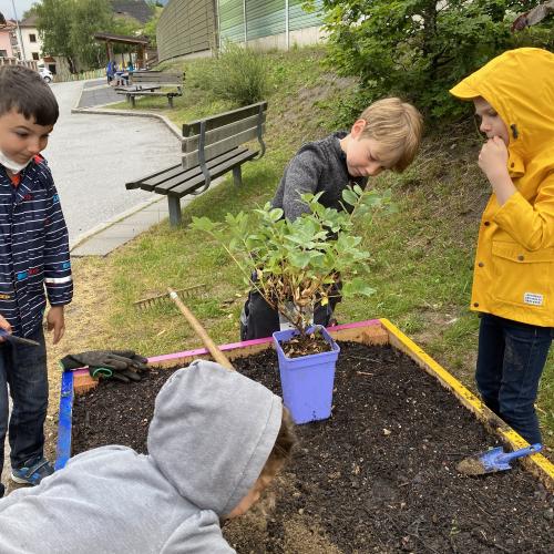 Gartenprojekt5