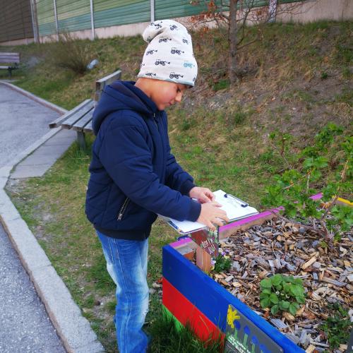 2a beim Einpflanzen vom essbaren Schulweg