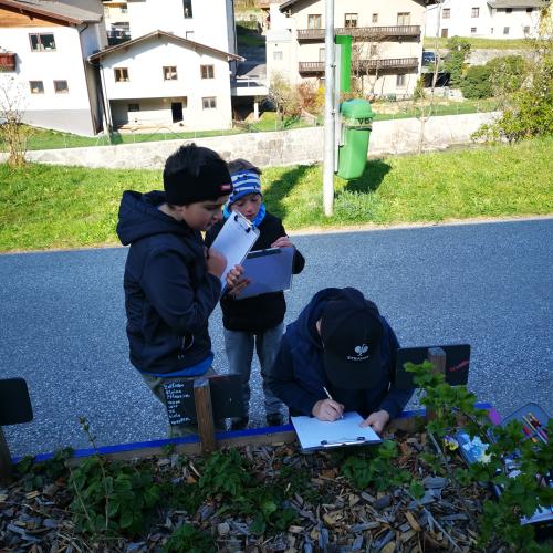 2a beim Einpflanzen vom essbaren Schulweg