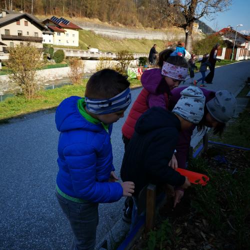 2a beim Einpflanzen vom essbaren Schulweg