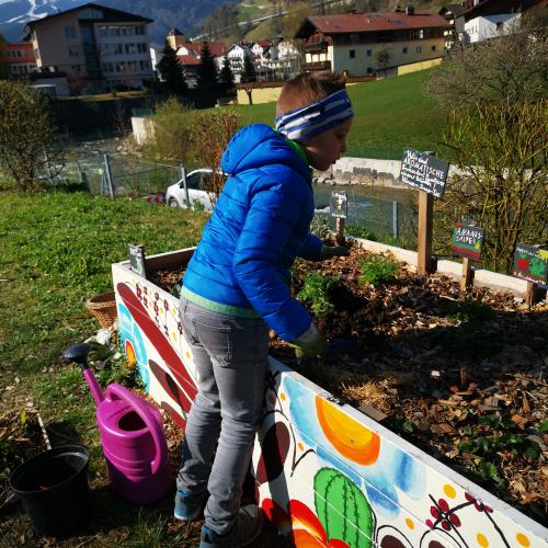 2a beim Einpflanzen vom essbaren Schulweg