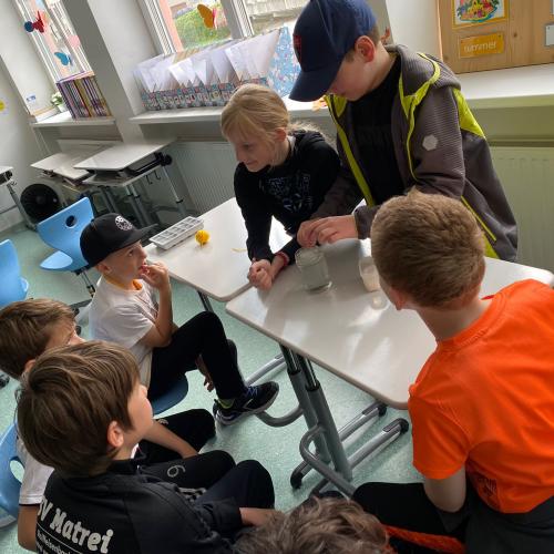 Frühlingsfest 2024