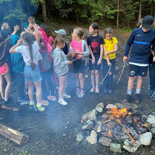 Der Abschlussausflug der diesjährigen 4. Klassen ging auf die Sattelbergalm!