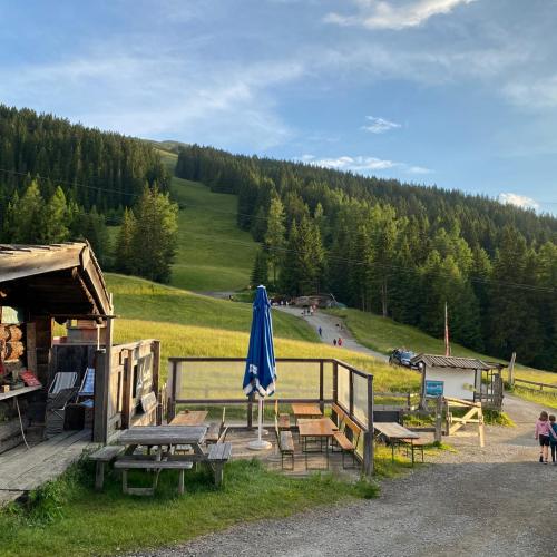 Der Abschlussausflug der diesjährigen 4. Klassen ging auf die Sattelbergalm!