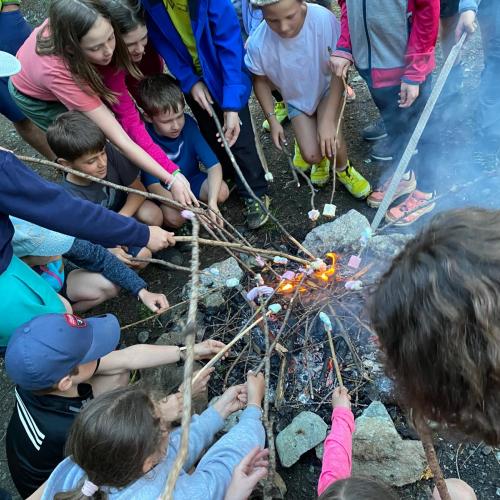Der Abschlussausflug der diesjährigen 4. Klassen ging auf die Sattelbergalm!