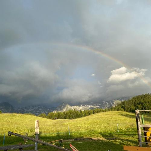 Der Abschlussausflug der diesjährigen 4. Klassen ging auf die Sattelbergalm!