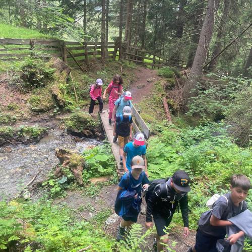Der Abschlussausflug der diesjährigen 4. Klassen ging auf die Sattelbergalm!