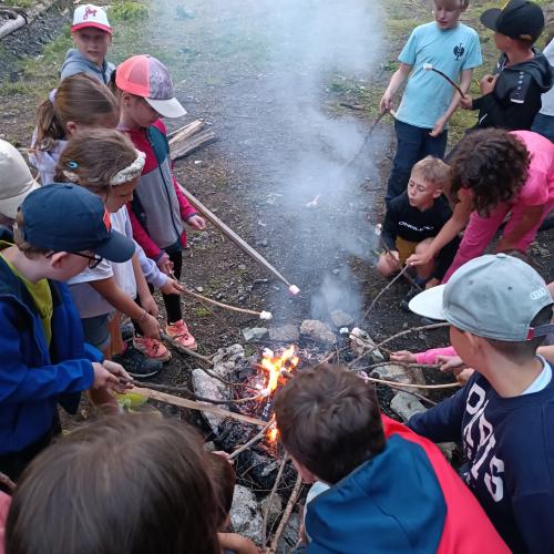 Der Abschlussausflug der diesjährigen 4. Klassen ging auf die Sattelbergalm!