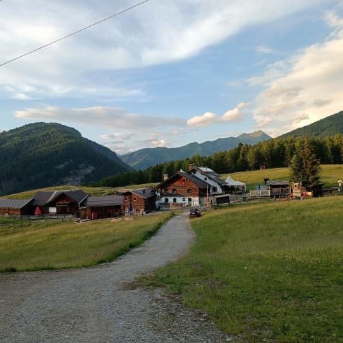 Der Abschlussausflug der diesjährigen 4. Klassen ging auf die Sattelbergalm!