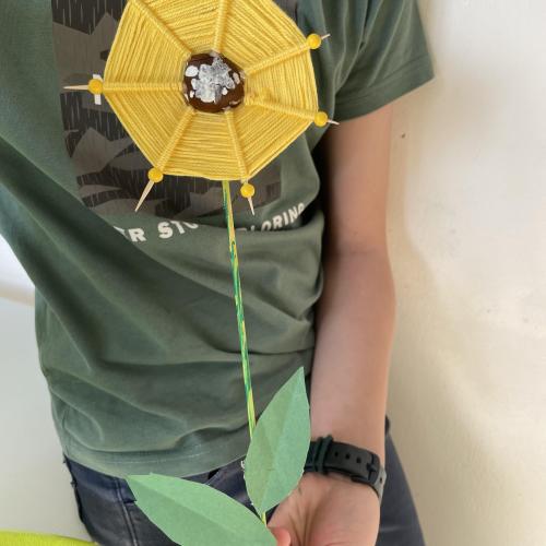 Sonnenblume