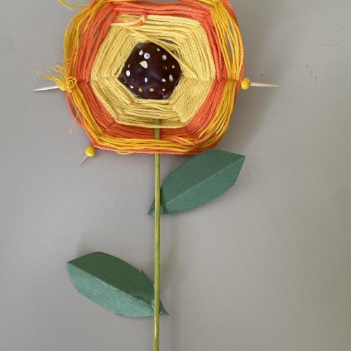 Sonnenblume