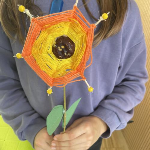 Sonnenblume