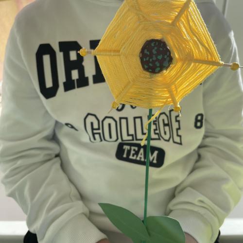 Sonnenblume